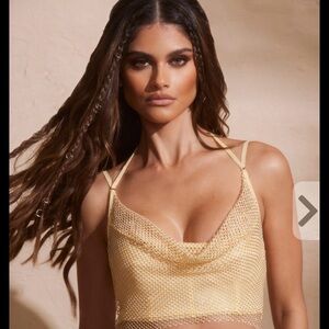 Gold Embellished Cowl
Neck Corset Halterneck
Crop